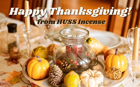 ARE YOU EXCITED FOR THANKSGIVING AND TURKEY DINNER?